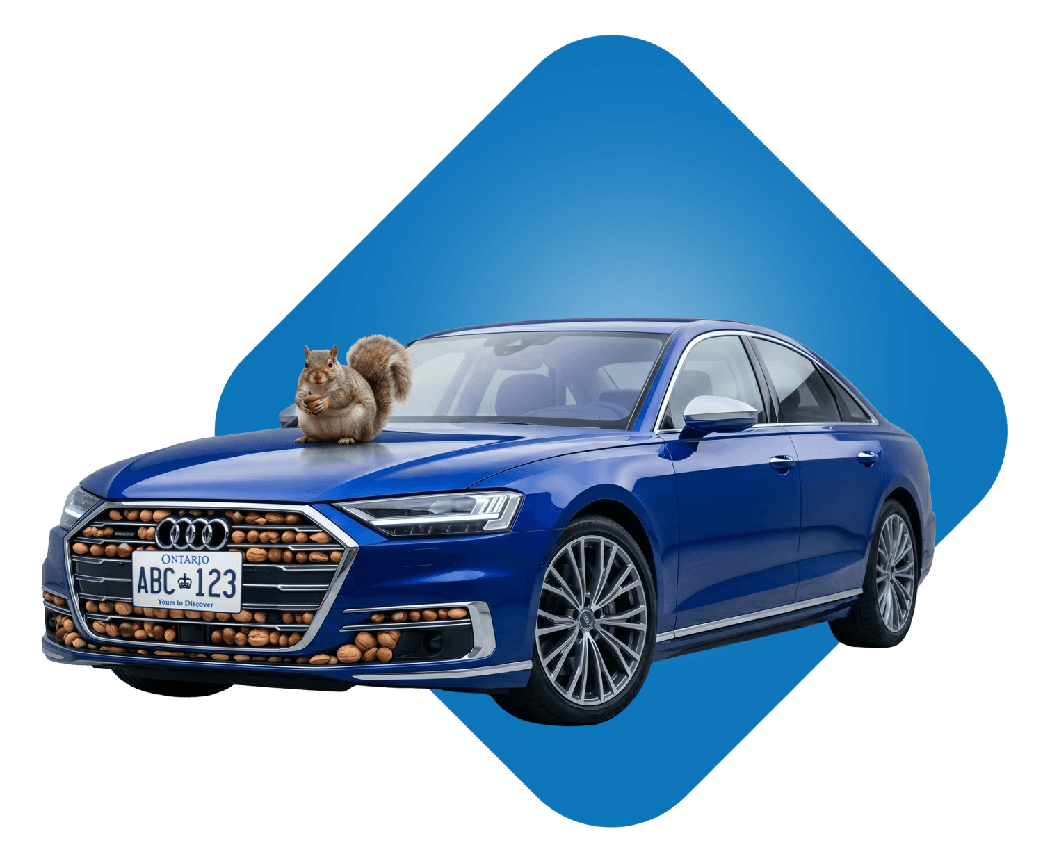Blue car with a squirrel sitting on the hood.