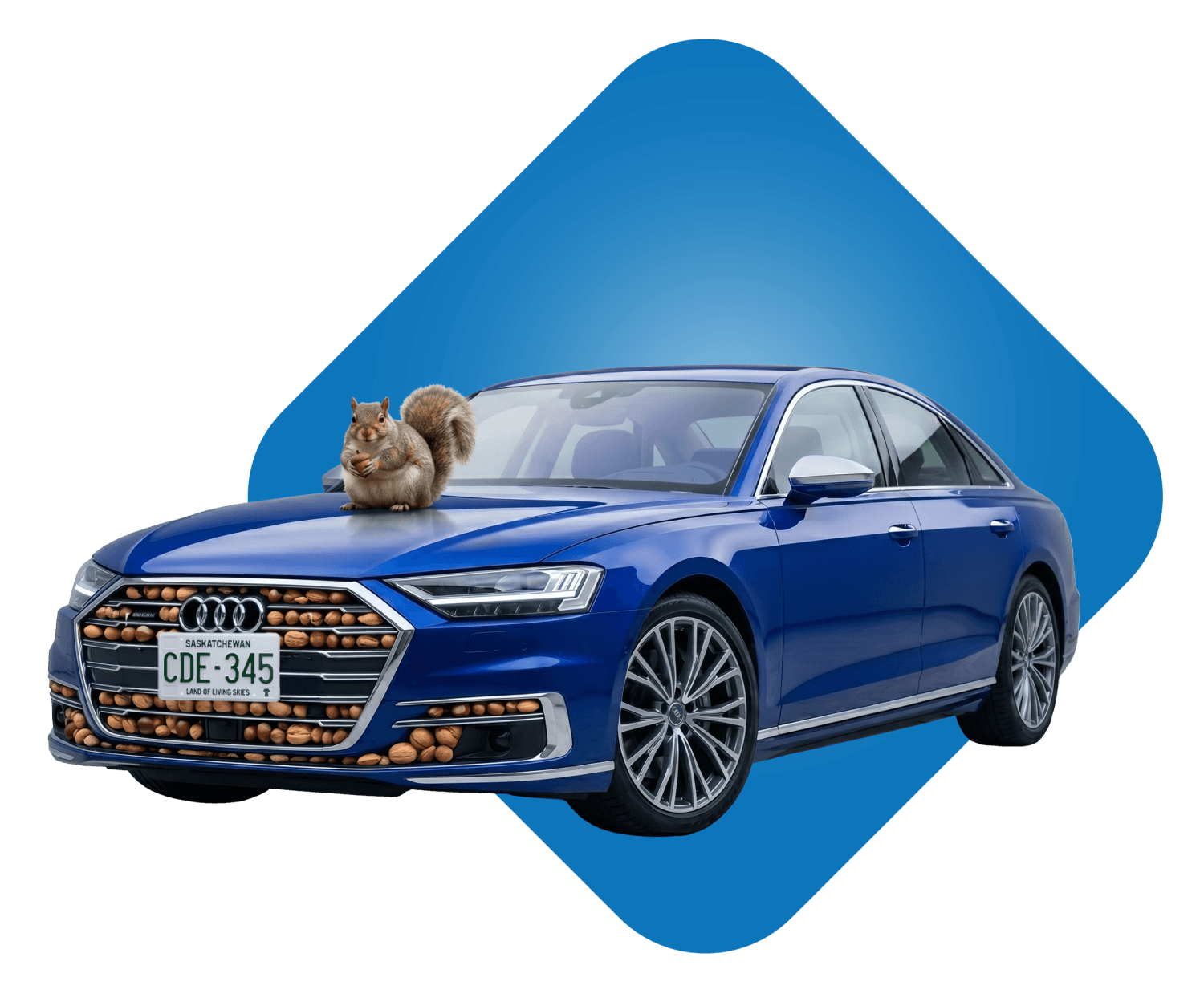 Blue car with a squirrel sitting on the hood.