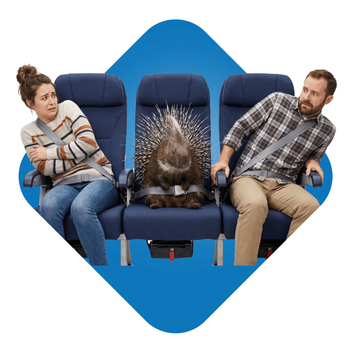 Airline passengers reacting to a porcupine between them.
