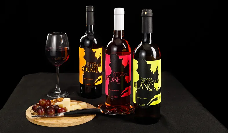 Three wine bottles labeled Rouge, Rosé, Blanc with a glass of red wine and a cheese grape platter.