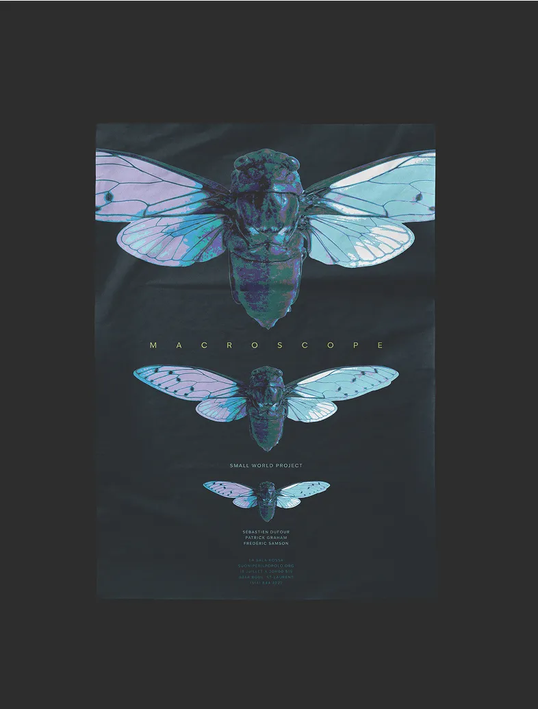 Poster featuring three cicadas in descending size labeled Macroscope for Small World Project.