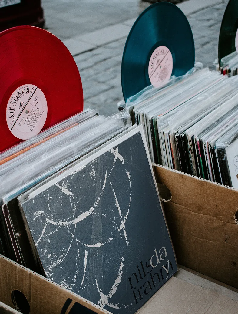 Cardboard boxes holding vinyl records, including red and blue records and album with 'nilda frahny' text.