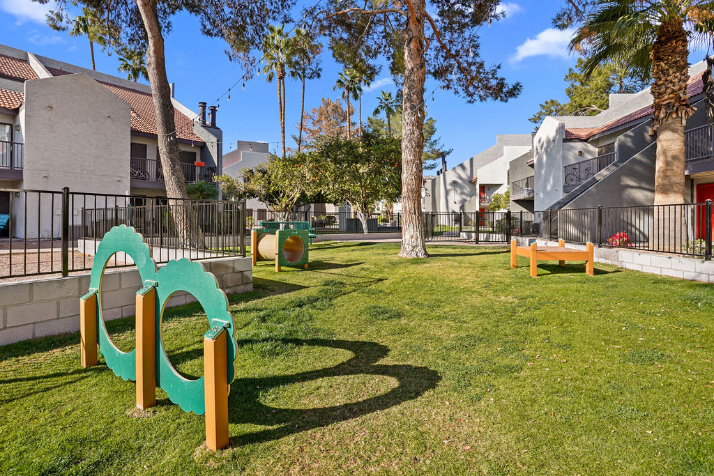 Dog park