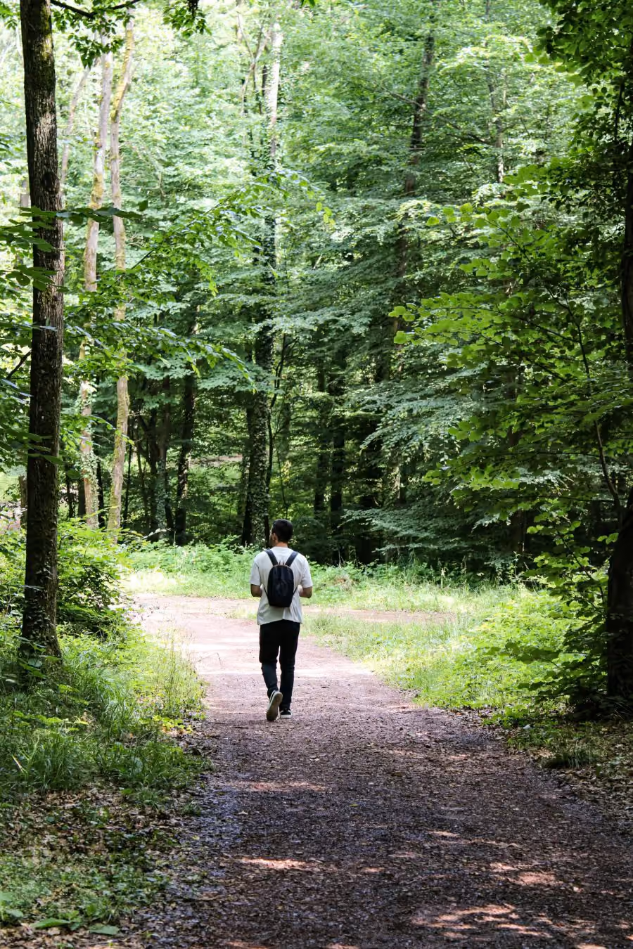 Improving Access to Mental Health Services in Rural Areas