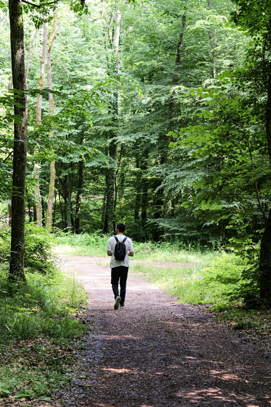 Improving Access to Mental Health Services in Rural Areas