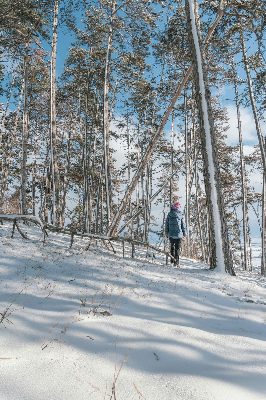 Winter Blues vs. Seasonal Affective Disorder (SAD): What’s the Difference?
