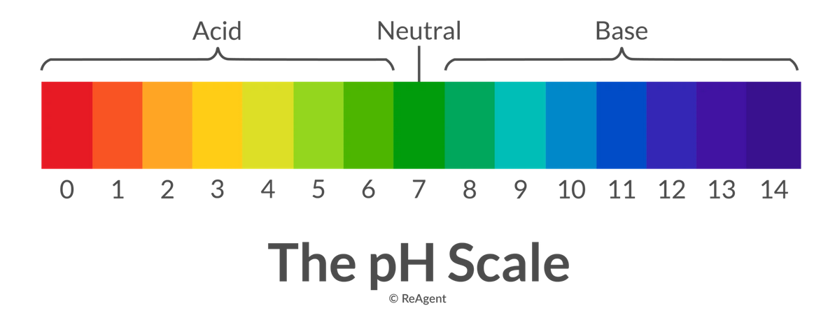 What Is the Science Behind Acid-Base Neutralization