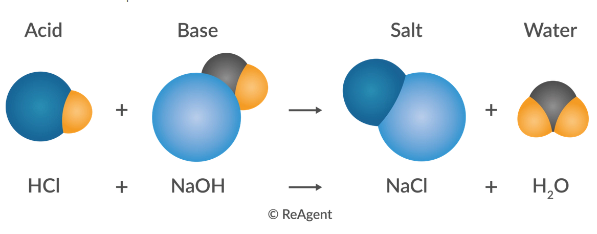 What is a Neutralization Reaction