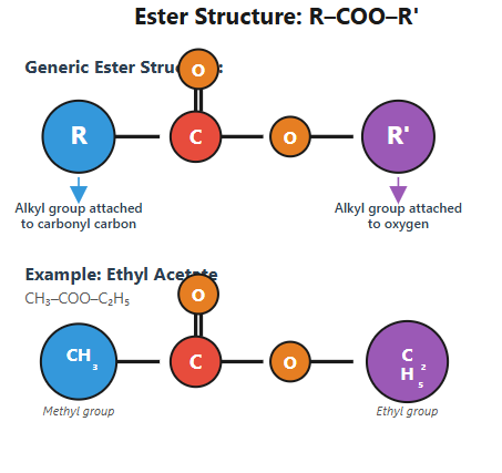 Ester
