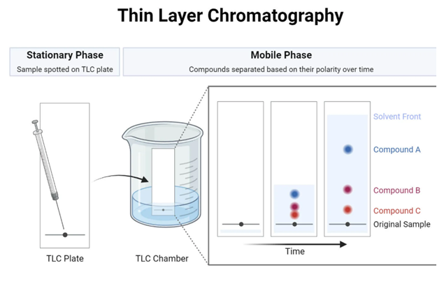 How the TLC Technique in Organic Chemistry Works 