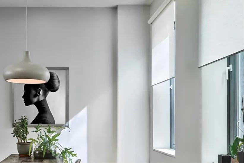 Modern room wall with a framed black and white profile portrait, hanging light, and green plants on table.