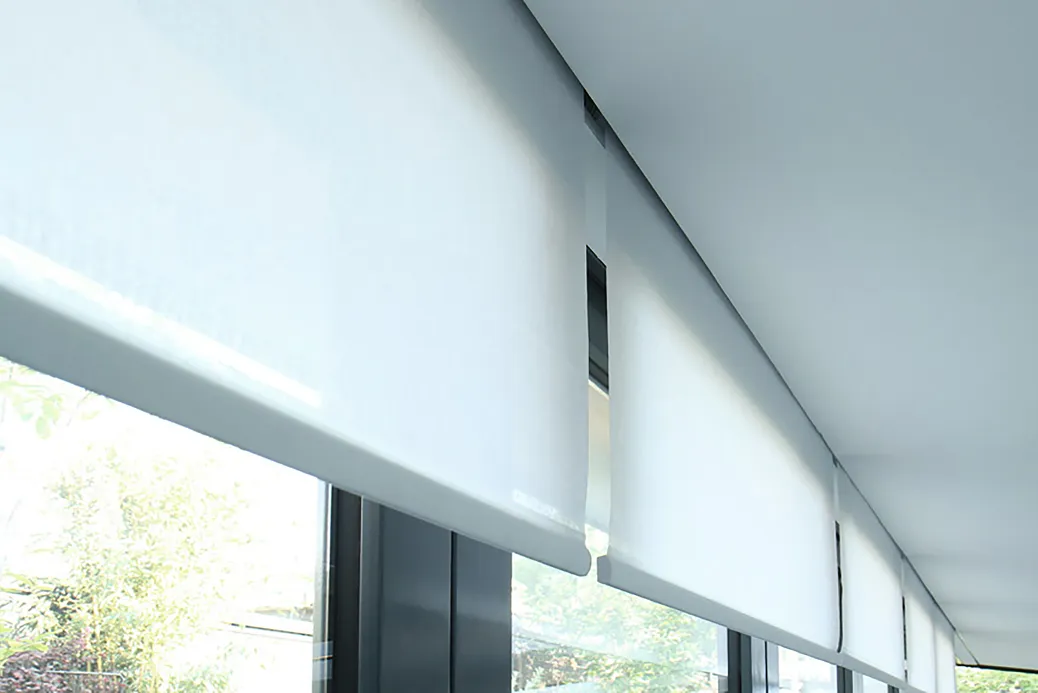White roller blinds partially covering large windows with trees visible outside.