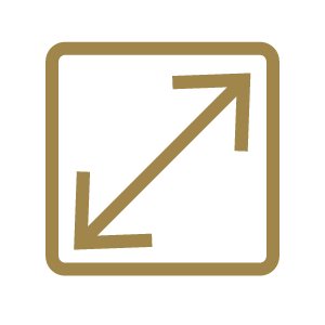 Square icon with a diagonal arrow pointing from bottom left to top right, representing expand or resize.