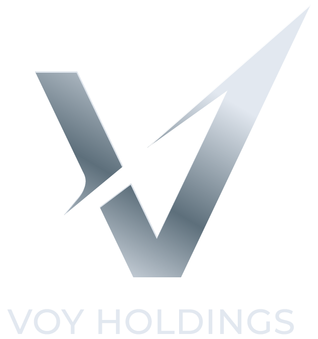 VOY Holdings