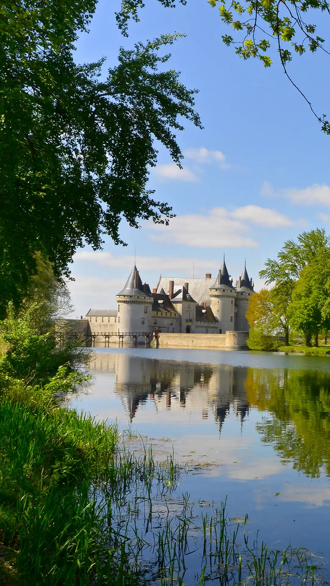 Allée d'arbres et château au bord de l'eau, Les Hauts de Loire – Hôtel, Restaurant & Spa – 5 étoiles.