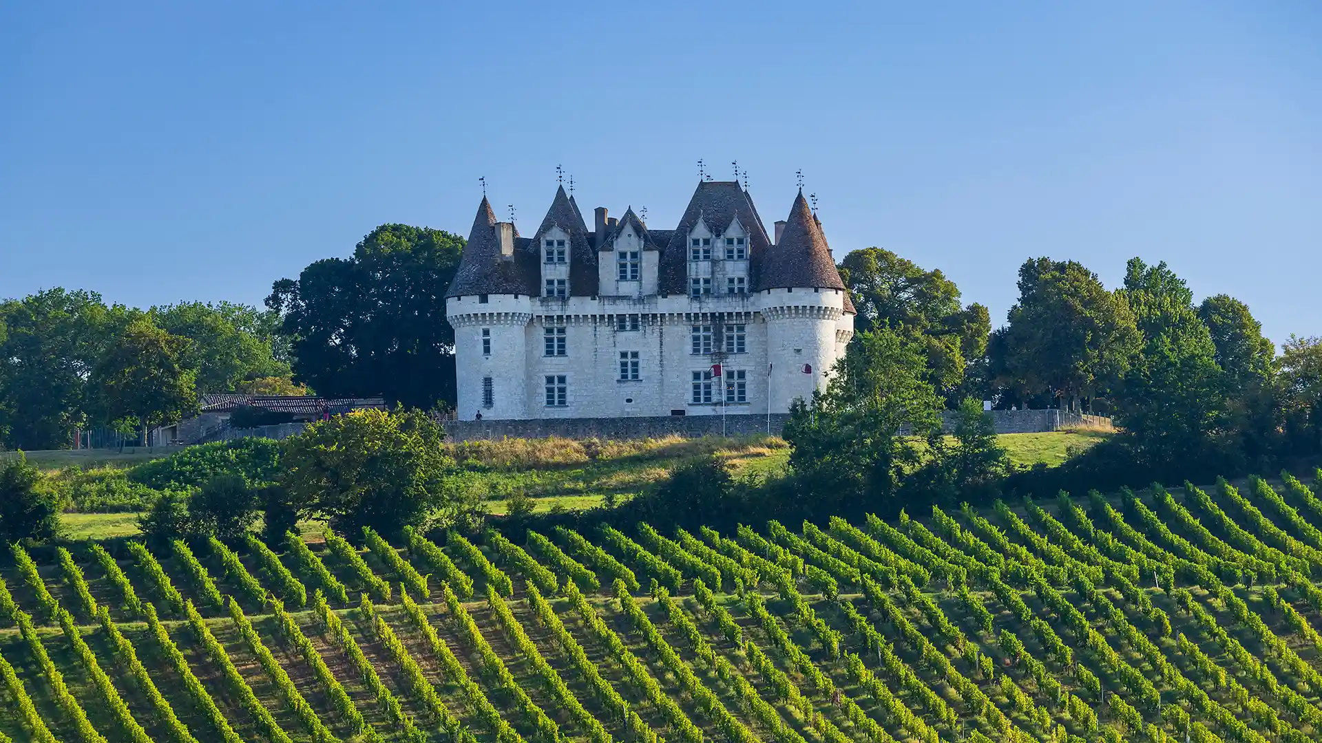 Le vignoble en premier plan, le château en arrière-plan. Les Hauts de Loire – Hôtel, Restaurant & Spa – 5 étoiles.