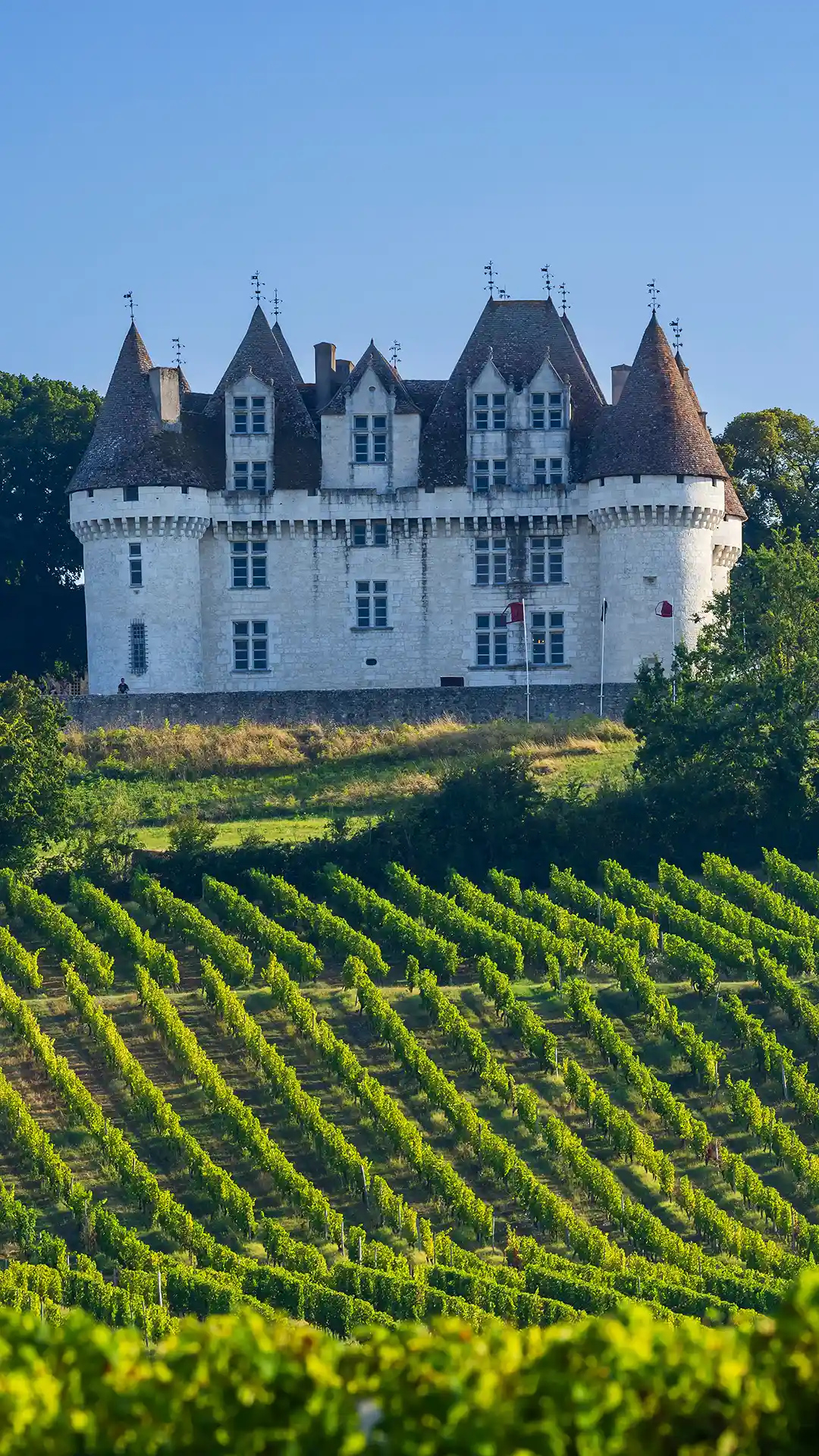 Perspective du château et des vignes sous un ciel bleu clair. Les Hauts de Loire – Hôtel, Restaurant & Spa – 5 étoiles.