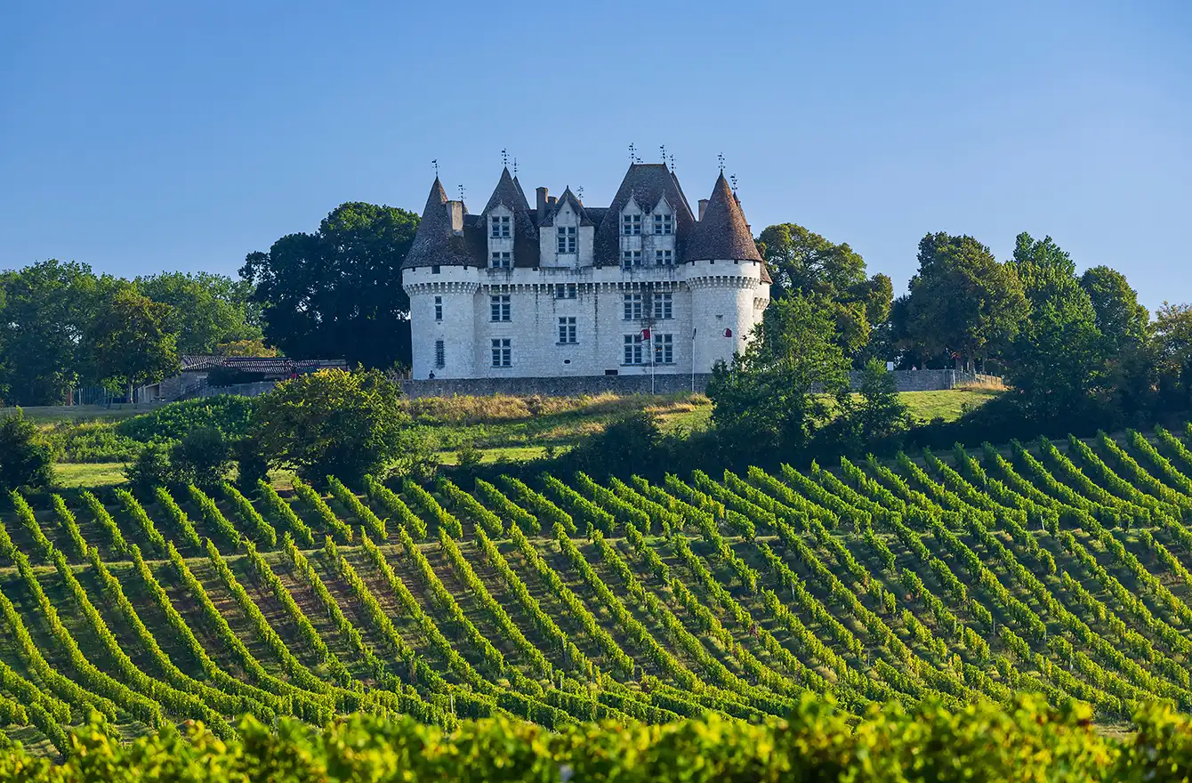 Angle de vue montrant l'alignement des vignes vers le château. Les Hauts de Loire – Hôtel, Restaurant & Spa – 5 étoiles.
