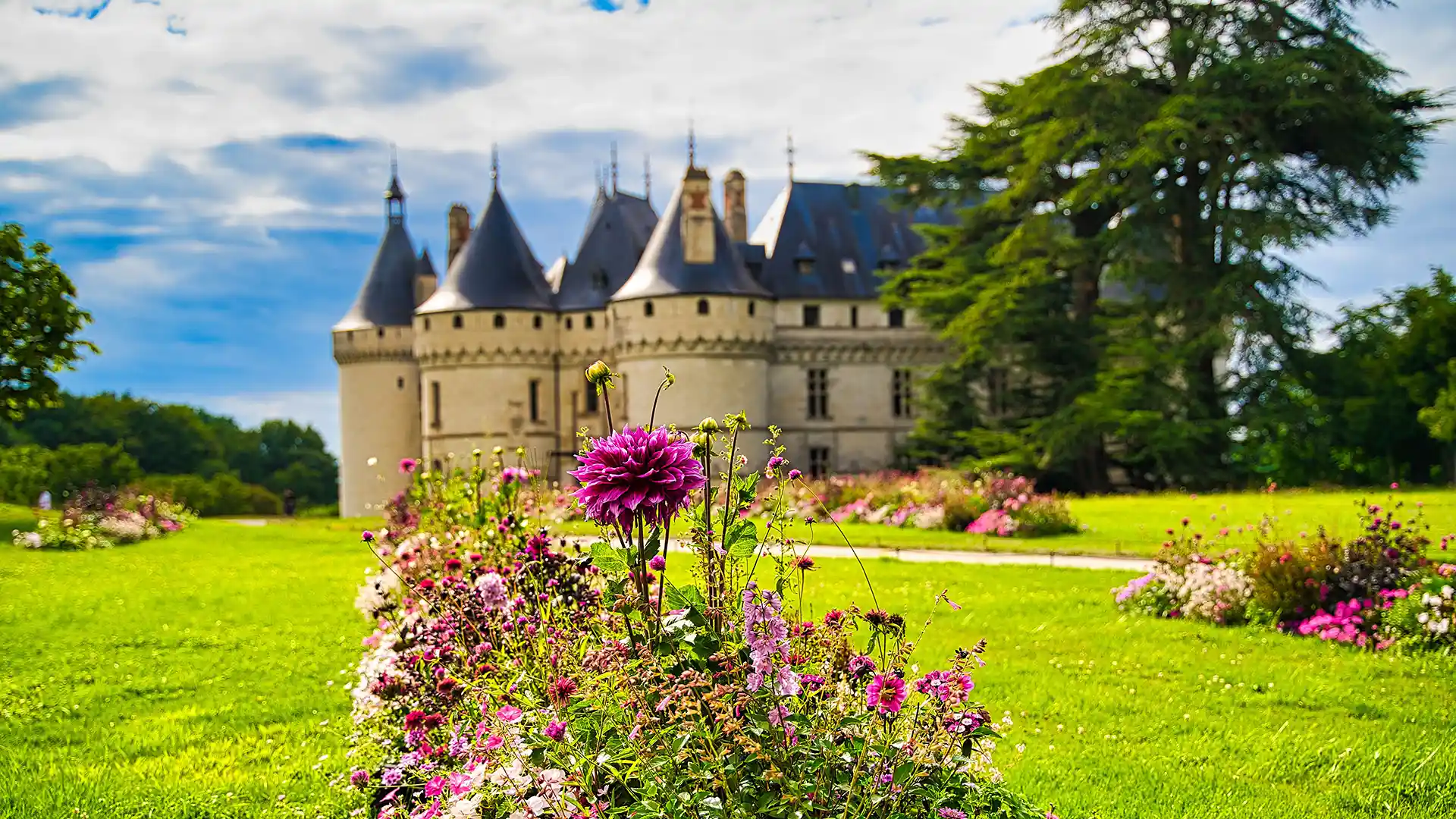 Le château encadré par des fleurs et un grand arbre | Les Hauts de Loire – Hôtel, Restaurant & Spa – 5 étoiles.