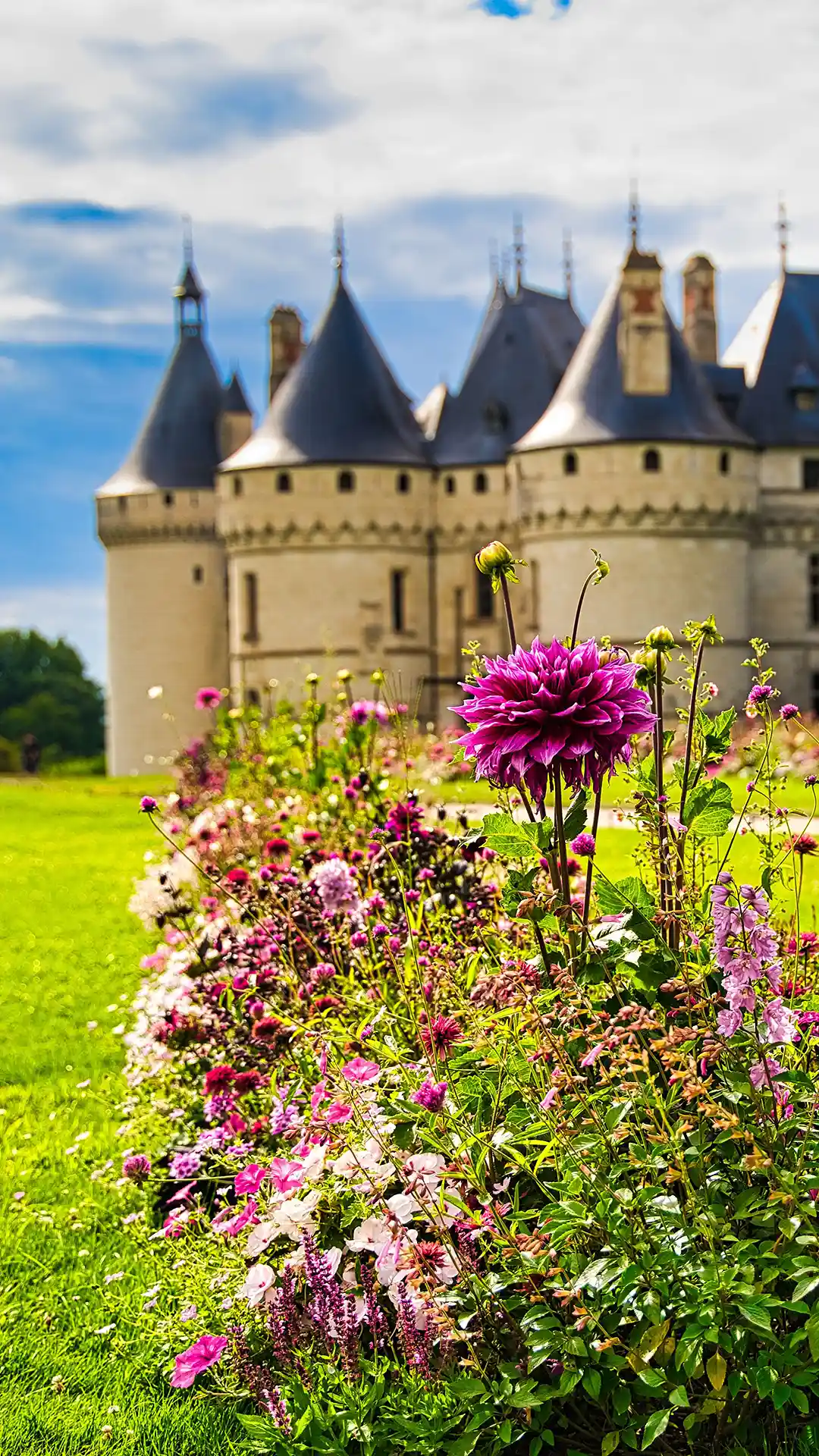 Fleurs roses et dahlia magenta au premier plan devant le château | Les Hauts de Loire – Hôtel, Restaurant & Spa – 5 étoiles.