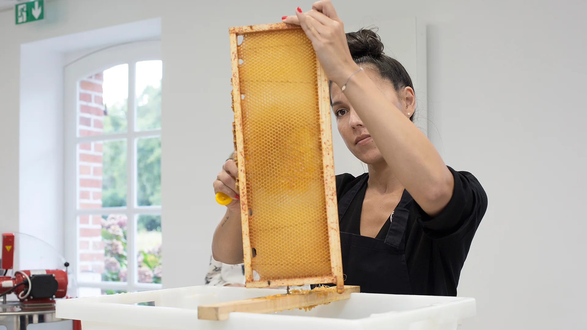 Une apicultrice examine attentivement un cadre de miel dans un intérieur, avec une fenêtre donnant sur un parc en arrière-plan. – Les Hauts de Loire – Hôtel, Restaurant & Spa – 5 étoiles.