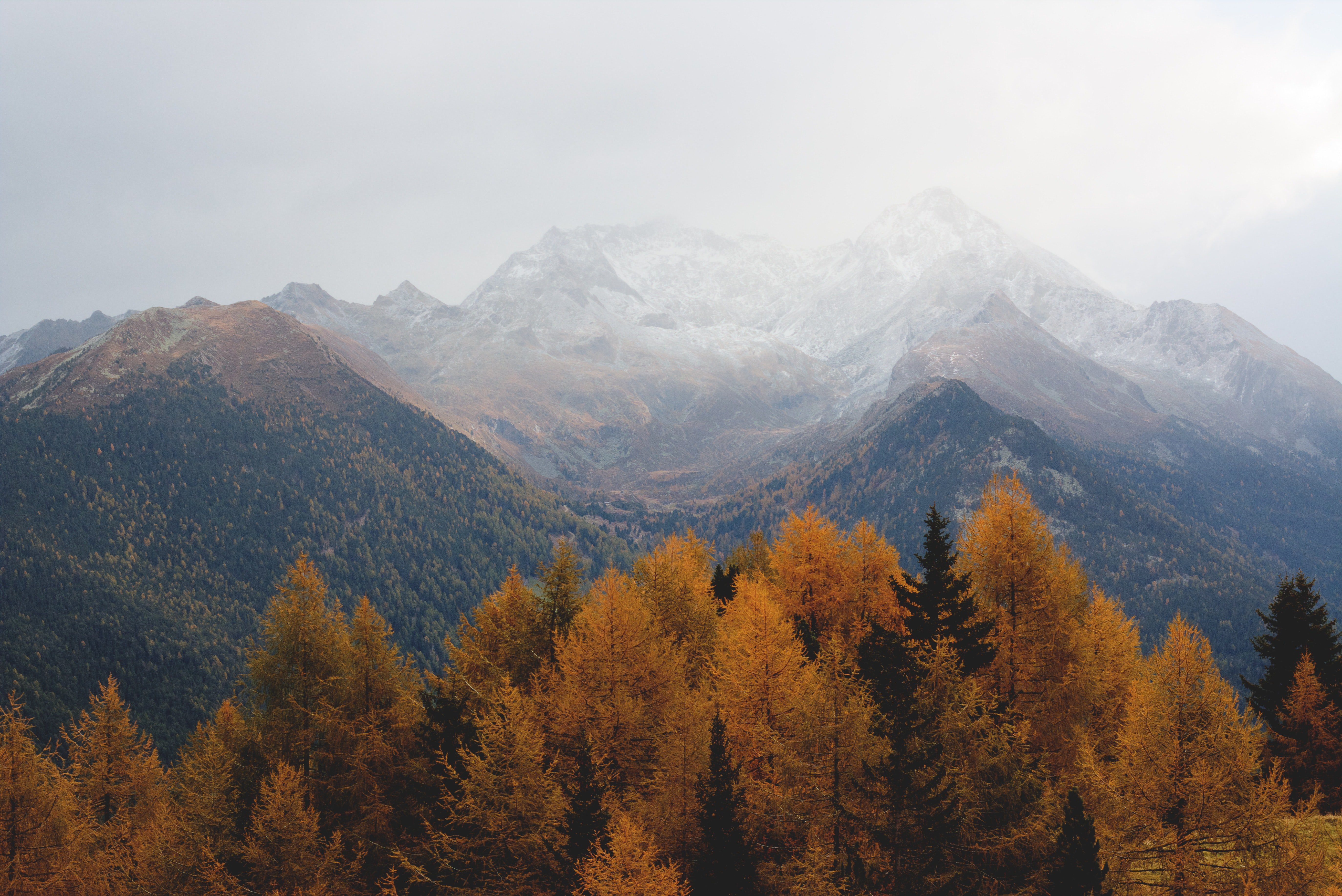 adventure-aerial-autumn-640809.jpg