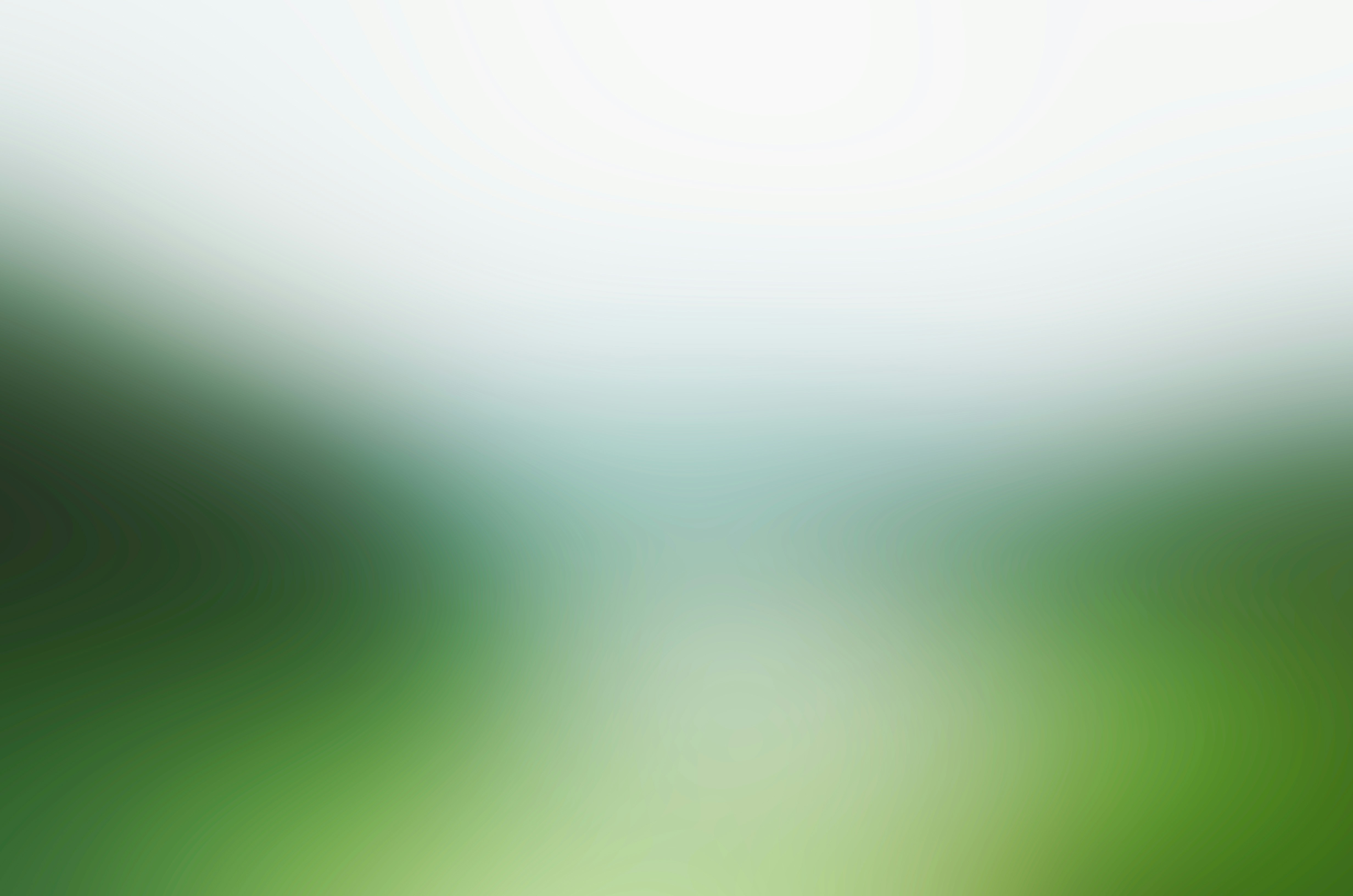 Blurred landscape with green fields and trees under a pale sky.