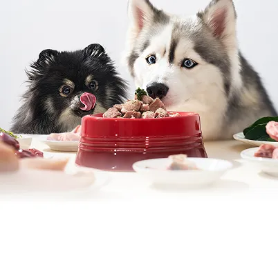 Husky and Pomeranian sharing a red bowl of fresh raw food