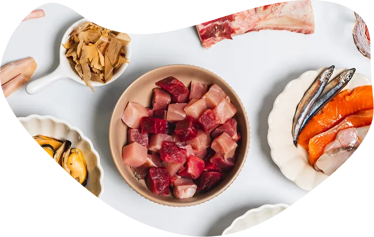 Bowl of diced fresh raw meat with ingredient sides, seen from above