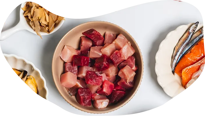 Bowl of diced fresh raw meat with fish and treat toppers