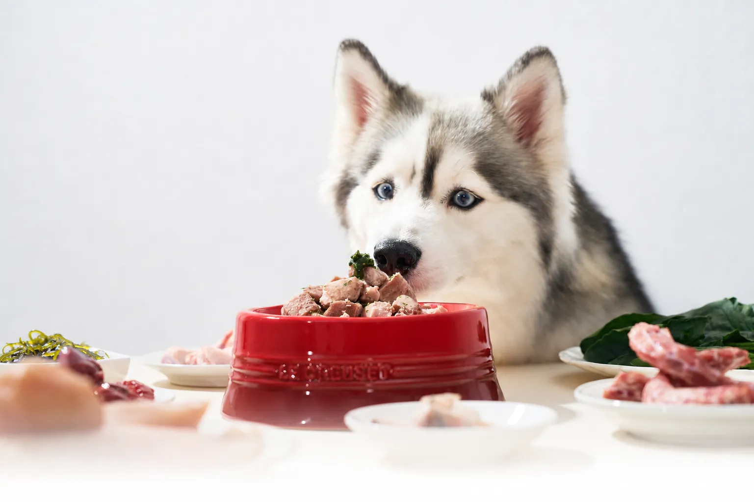 Natural raw and sous vide fresh pet meals compared side by side