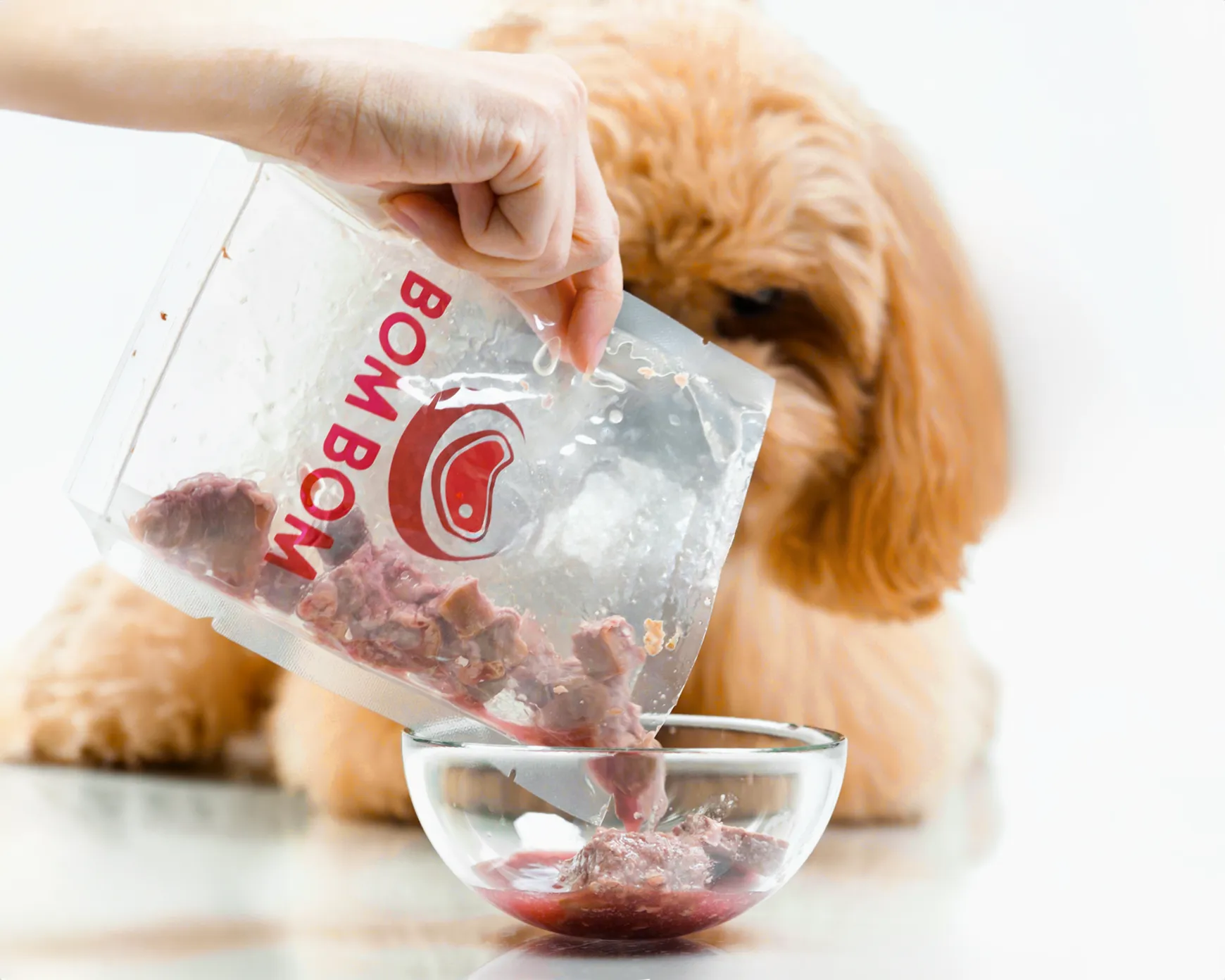 BOM BOM meal pack poured into a bowl for a poodle puppy