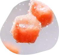Two frost-covered cubes of frozen fresh pet food