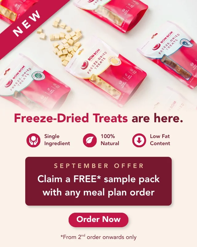 New BOM BOM freeze-dried treats — single ingredient, 100% natural, low fat. Free sample pack with any meal plan order in September.