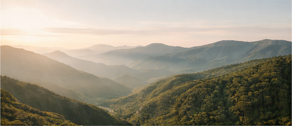 Insights | FinPeak Advisers