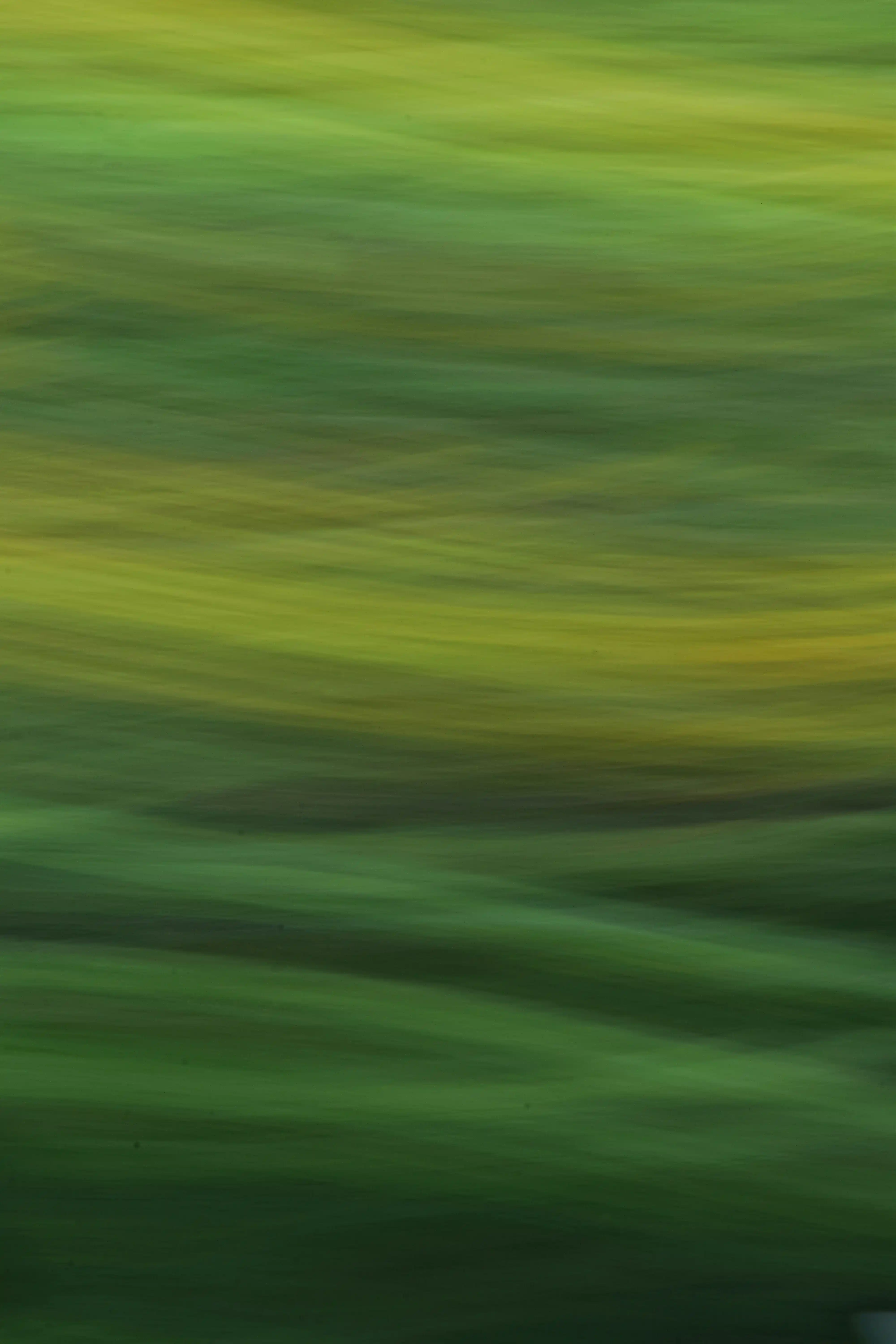 Green background