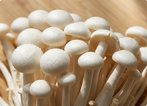 Enoki