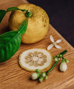 Yuzu