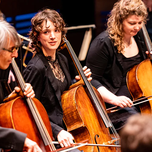 Orchestra cellists playing wooden cellos during a concert performance.