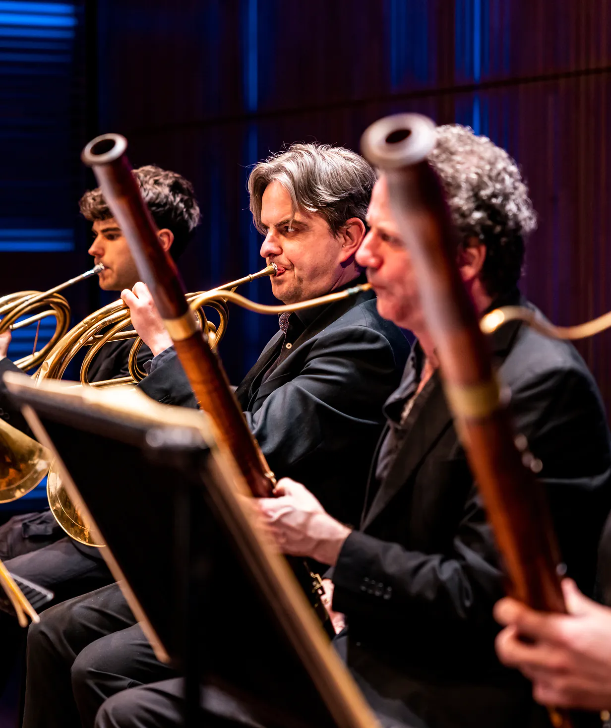 Three male musicians playing French horns and bassoons in a concert setting.