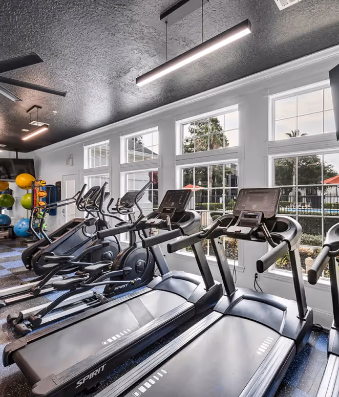 Bright gym room with multiple treadmills and elliptical machines lined up facing large windows overlooking an outdoor area.