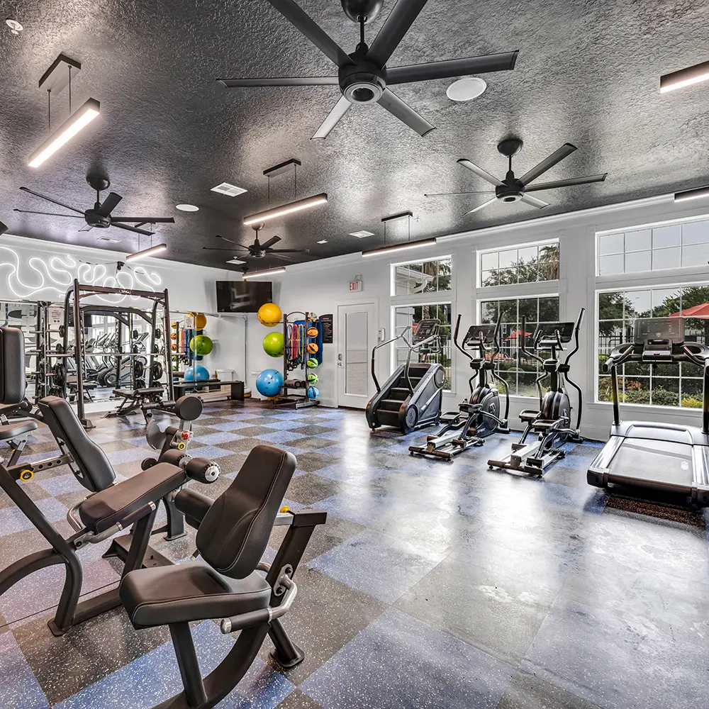 Bright gym with exercise machines, colorful fitness balls, large windows, and ceiling fans.