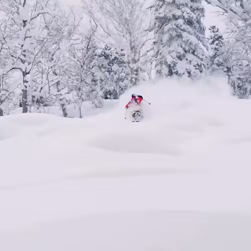 Person skiing through deep snow in a snowy forest with trees covered in snow.