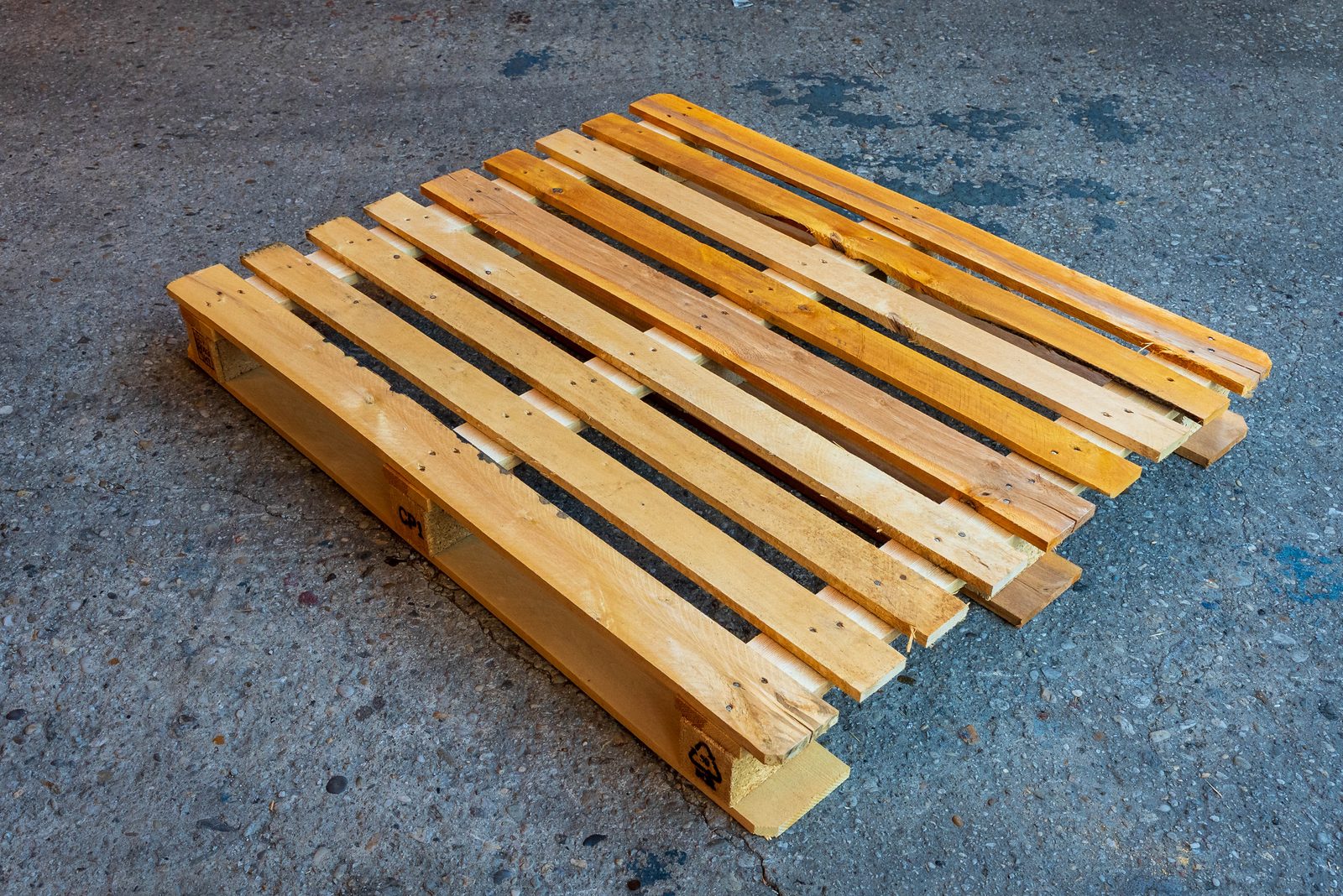 CP1 pallet