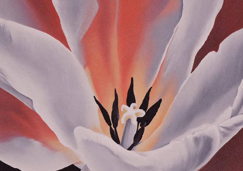 Close-up of a white flower with black stamens and a glowing red background.