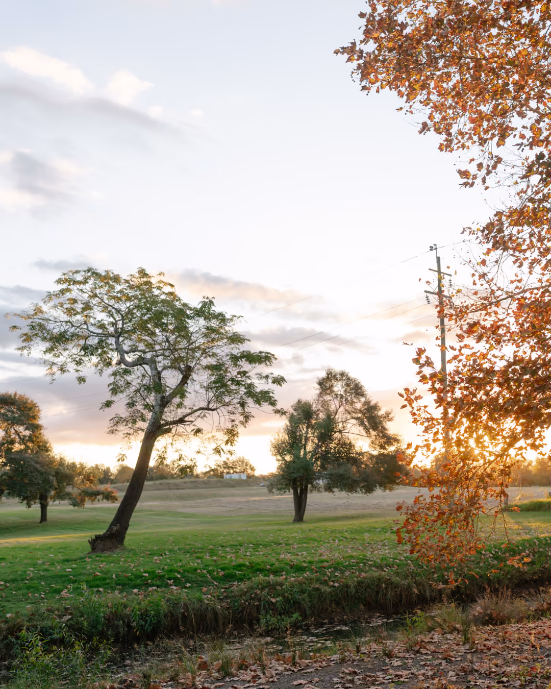 The eight hectare garden estate surrounding VELA Spa & Bathhouse at dusk
