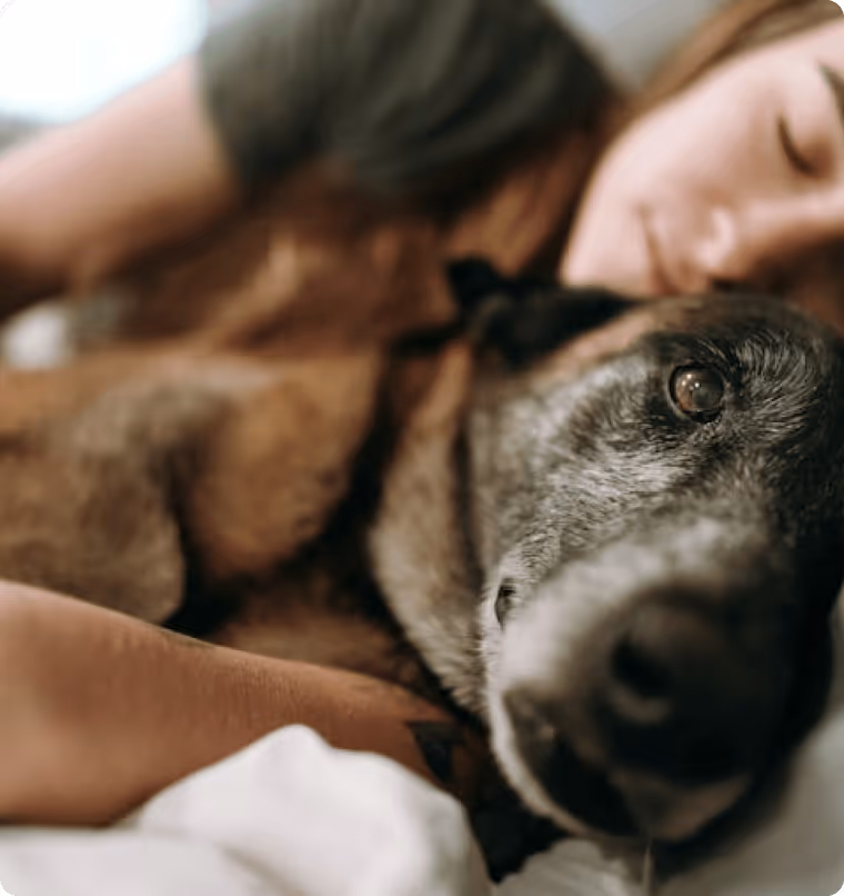 Enfant et chien