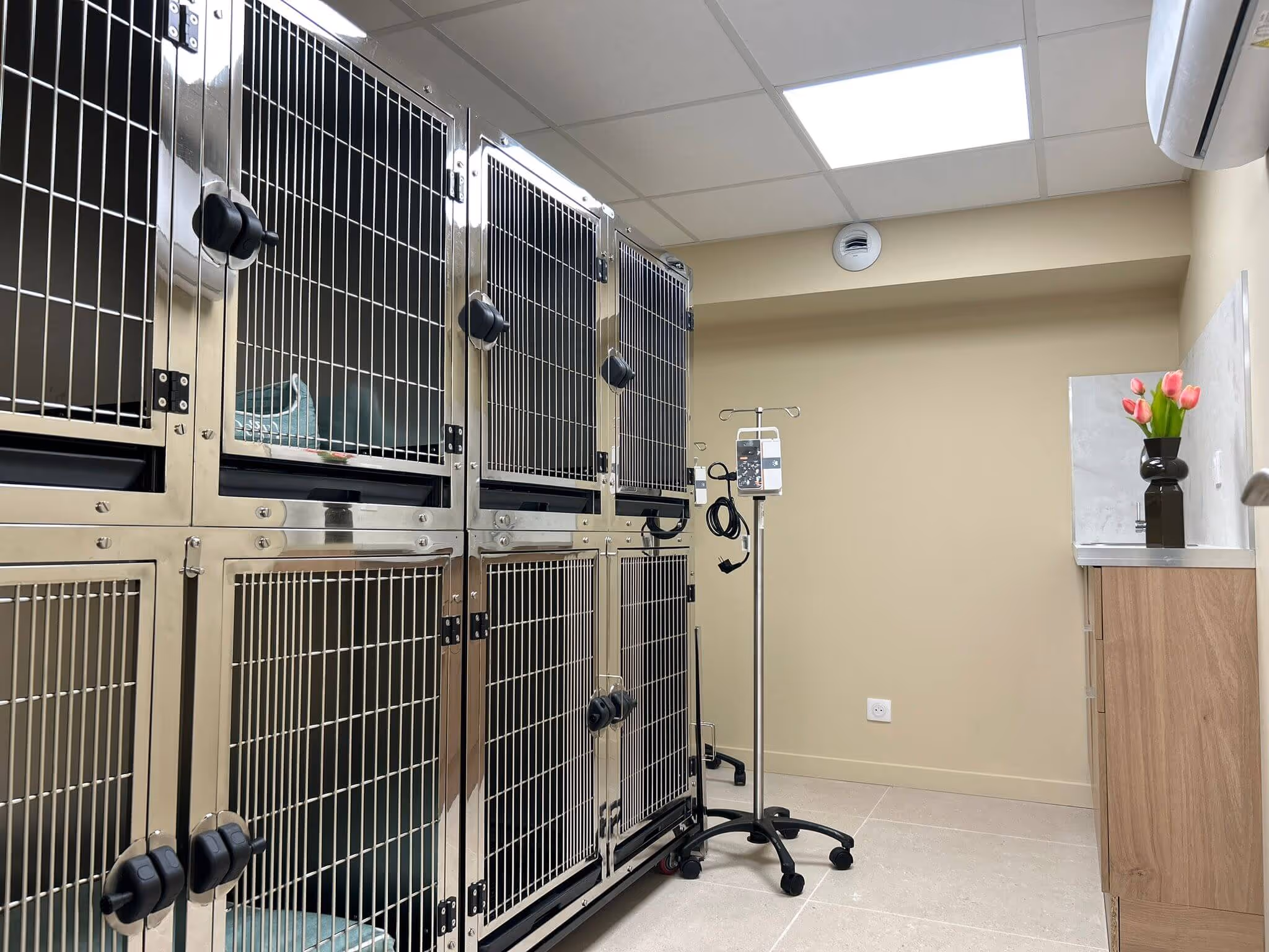 Salles de cages en acier inoxydable dans une clinique vétérinaire moderne avec une perfusion sur pied.