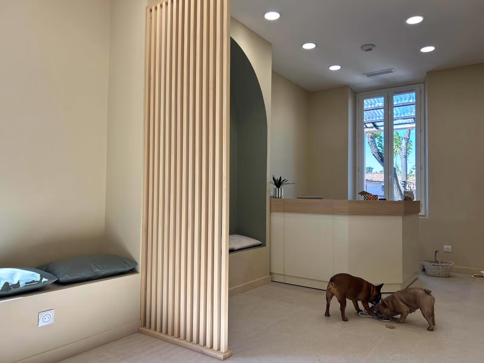 Intérieur lumineux avec deux chiens jouant près d'une réception et des fenêtres grandes ouvertes.