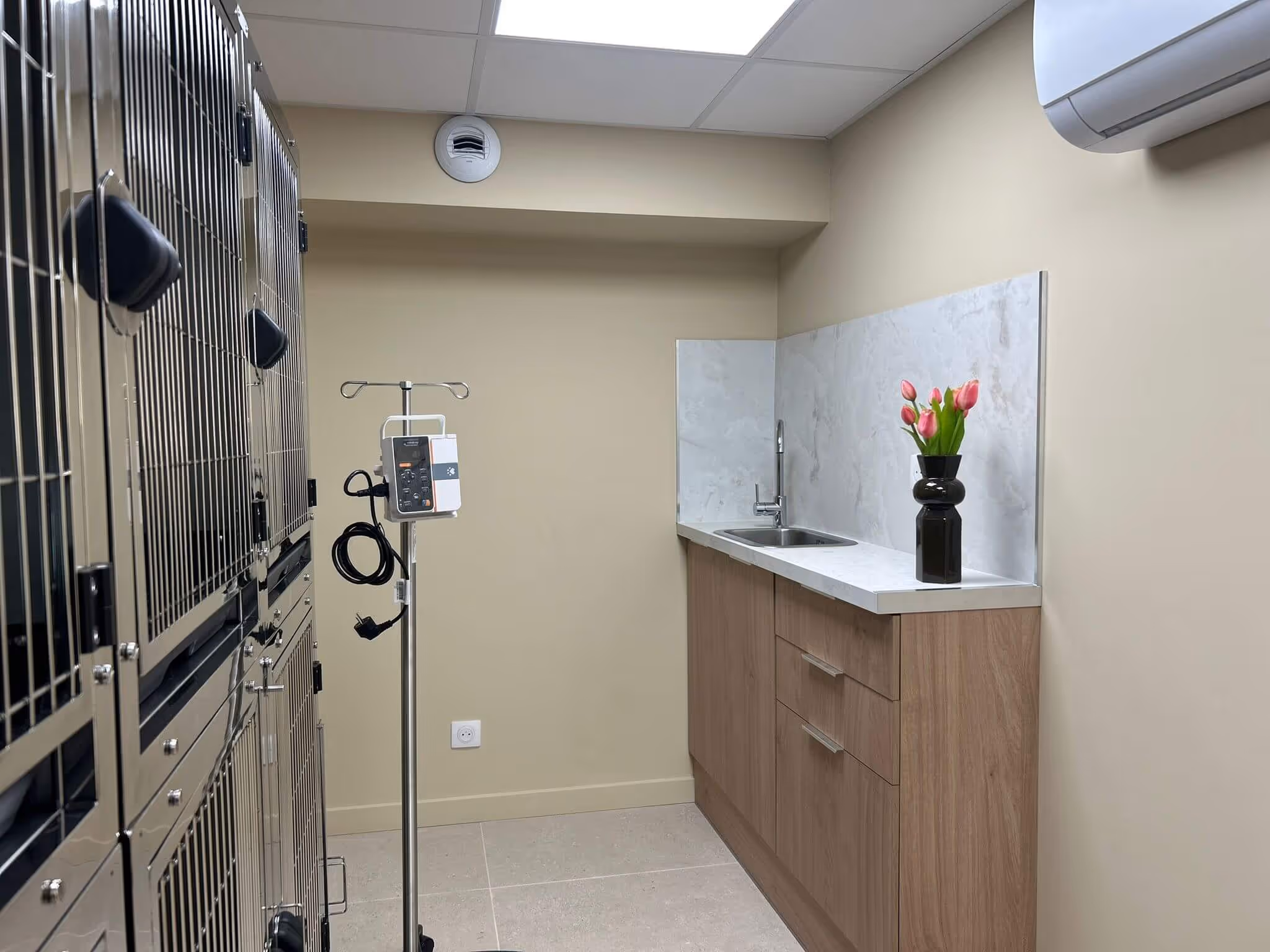 Salle vétérinaire avec cages en acier, perfusion, lavabo, et vase noir avec tulipes roses.